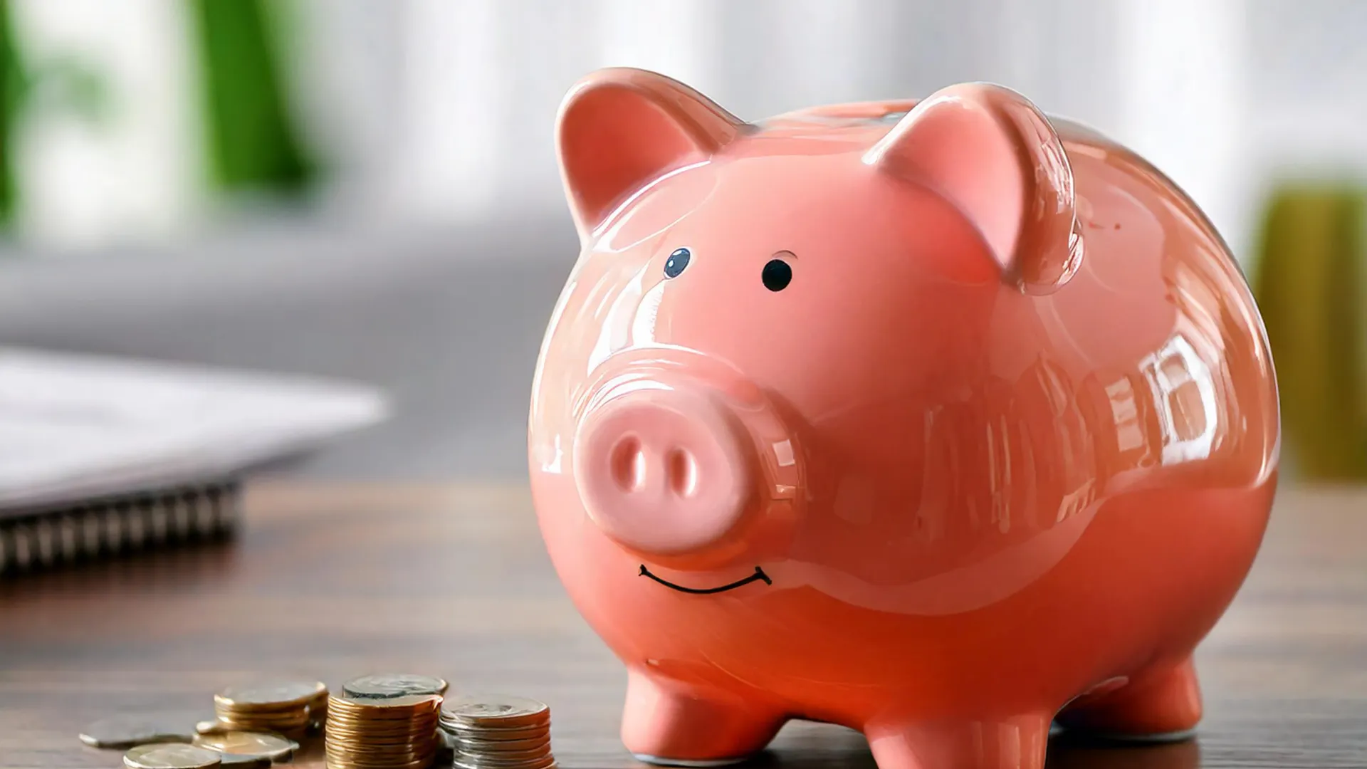 월별 지출 비교 그래프